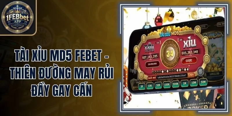 Tài Xỉu MD5 Febet - Thiên Đường May Rủi Đầy Gay Cấn